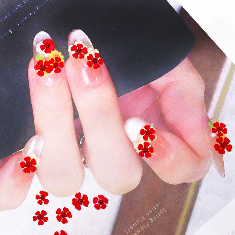 96Pcs Mini 1.5cm Natural Press - Nail Art Natural recension och pris