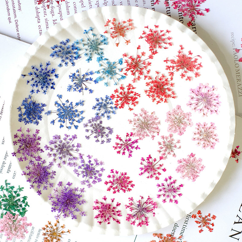 24pcs, 2-2.5cm, Nature Dyed Mi - Nail Art Natural recension och pris