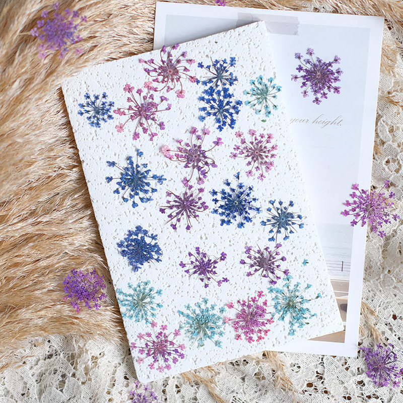 24pcs, 2-2.5cm, Nature Dyed Mi - Nail Art Natural recension och pris