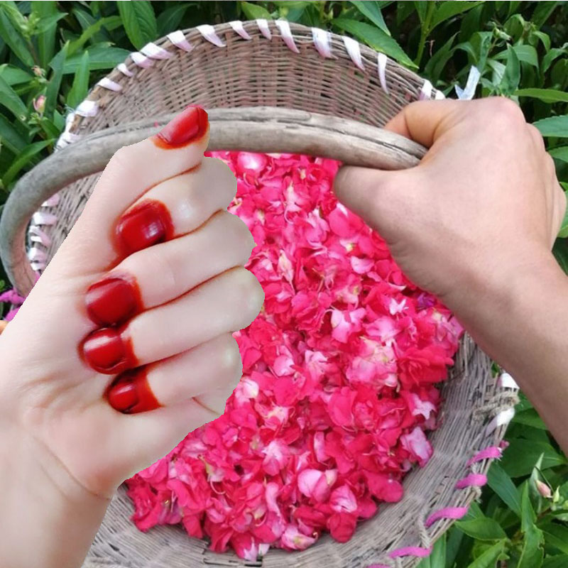 40g Henna Nail Dye Powder For  - Nail Art Natural recension och pris